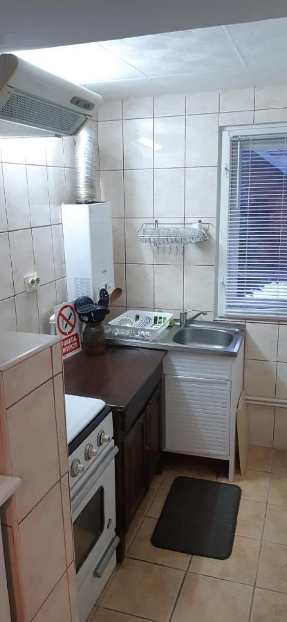דירות בוסטאני Apartament La Poteca Ursului מראה חיצוני תמונה